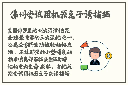 国产网曝门亚洲综合在线