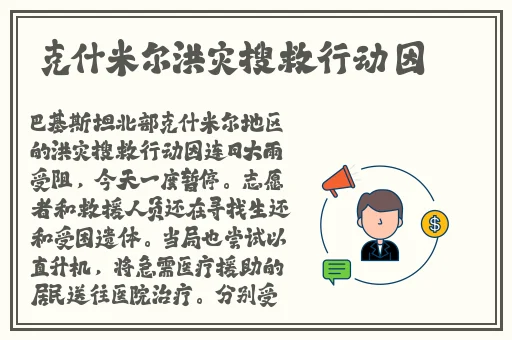 秘书你的兔子好软水好多作文